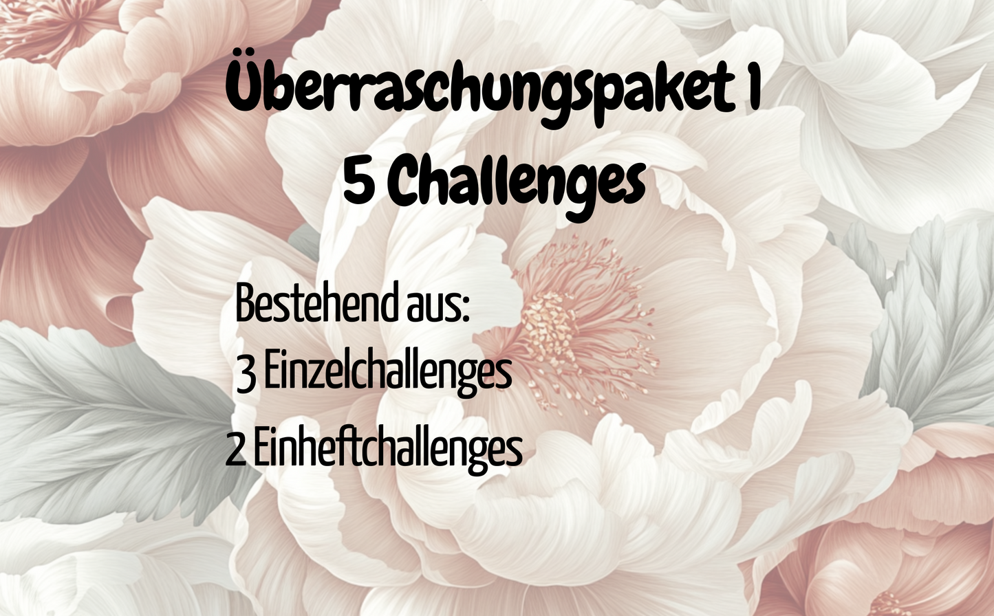 Überraschungspaket