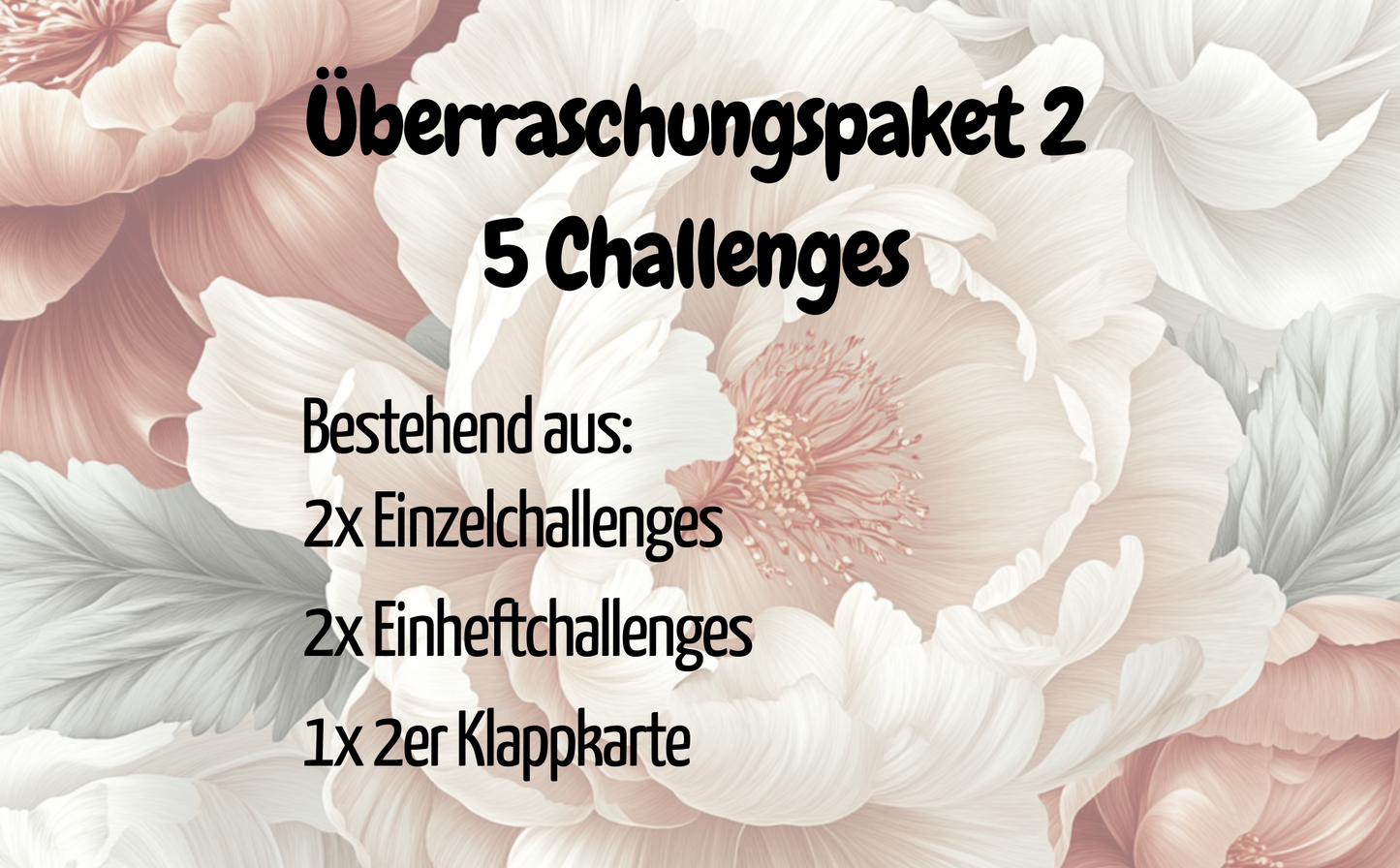 Überraschungspaket