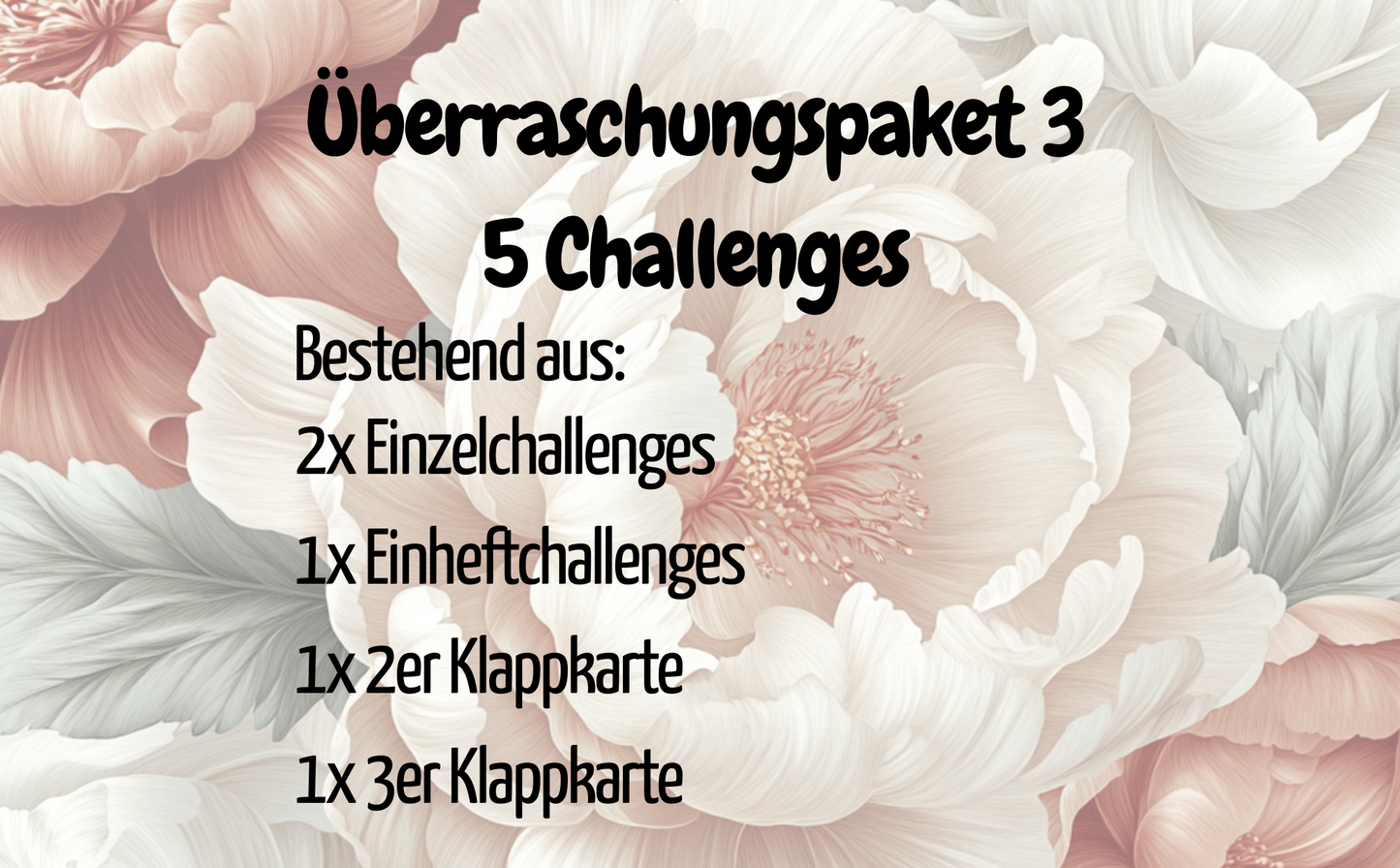 Überraschungspaket